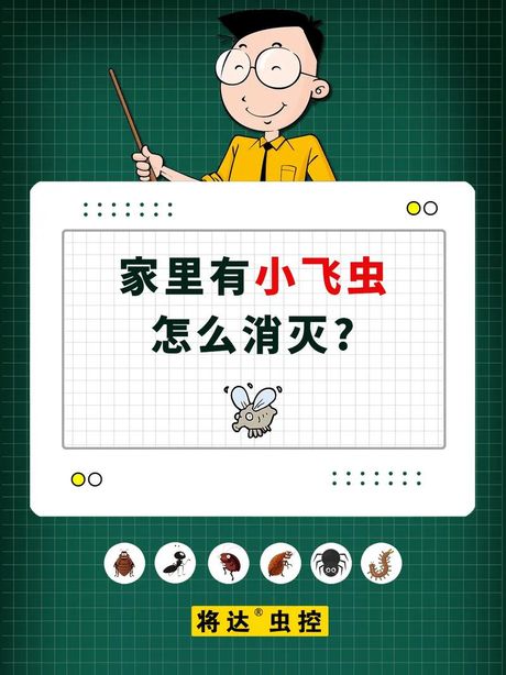 家里小飞虫怎么消灭