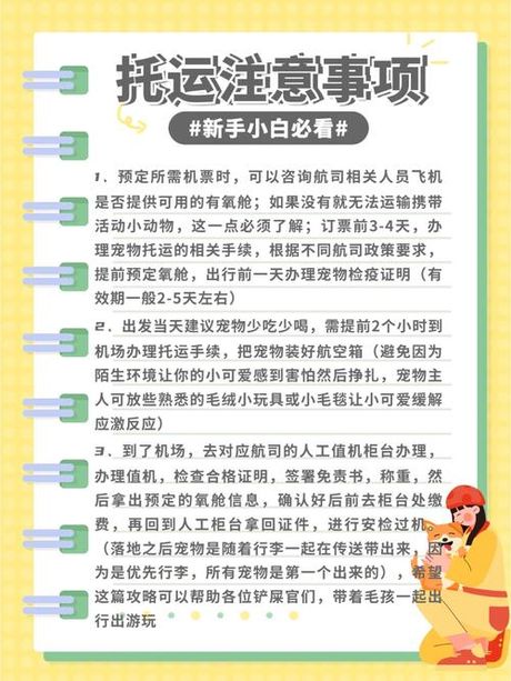 喷雾可以托运吗？了解托运流程和注意事项