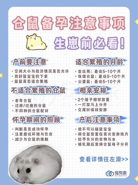 仓鼠生宝宝后怎么照顾