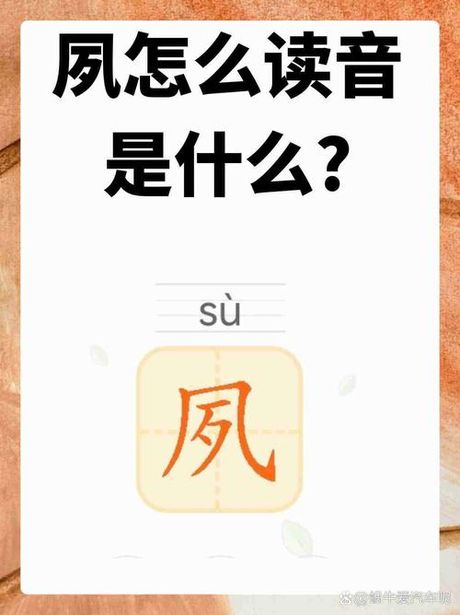 夙怎么读，探索汉字“夙”的读音与意义