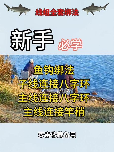 如何将鱼线绑在鱼竿上：钓鱼爱好者的基础指南