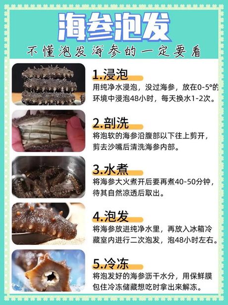 活海参的处理方法