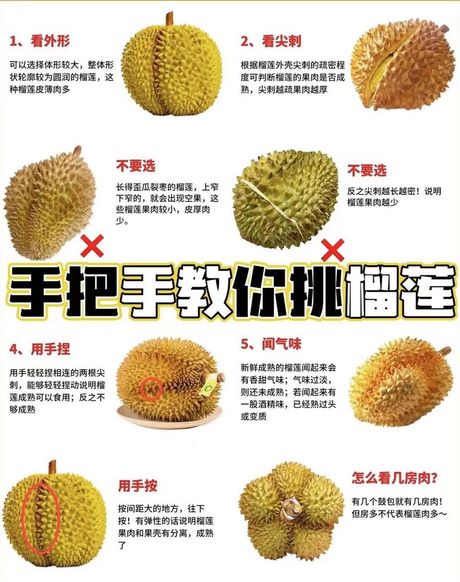 榴莲怎么挑：掌握这五个技巧，轻松选出美味榴莲