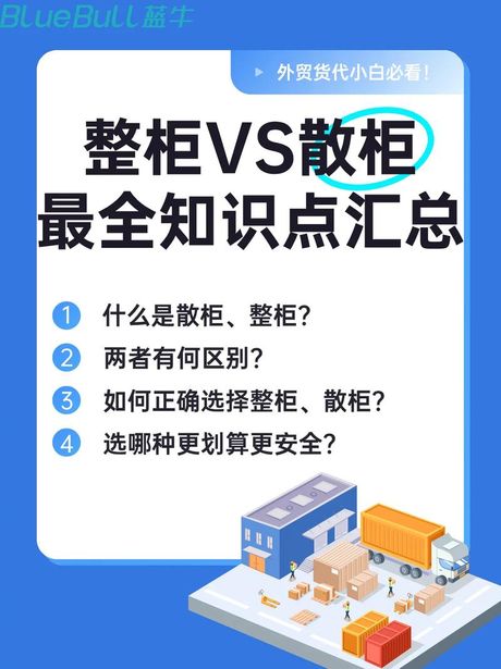 散货：定义与特点
