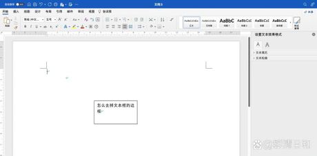 轻松去掉文本框边框：CSS技巧详解