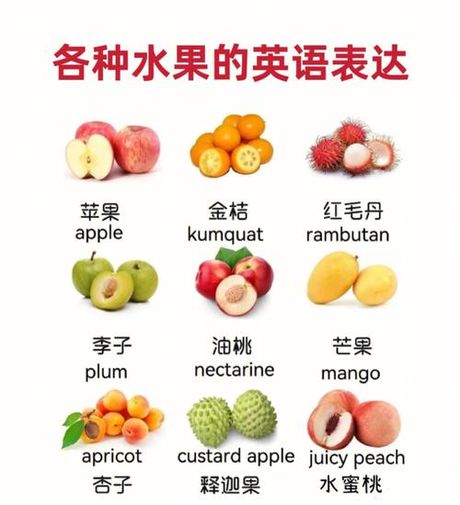 “Larger”：尺寸与比较的英语表达