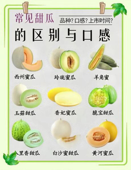 香瓜里面的瓤可以吃吗？