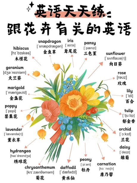 花英语怎么读