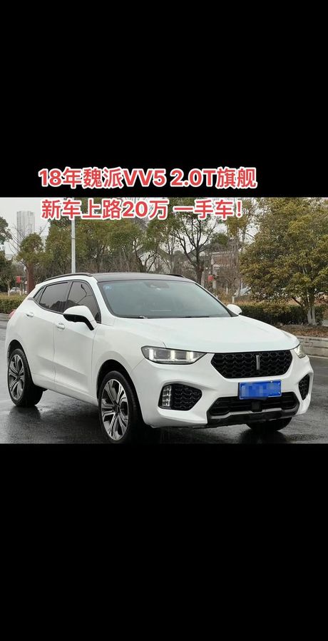 WEY VV5：国产SUV的豪华与性能解析