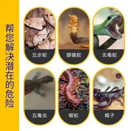 家里有蛇怎么驱赶