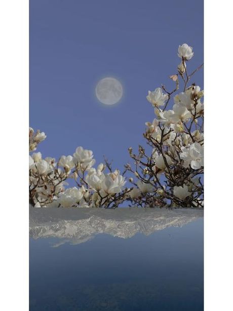 镜花水月：一场虚幻的视觉盛宴