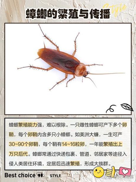 蟑螂为什么叫小强，蟑螂为什么叫“小强”？