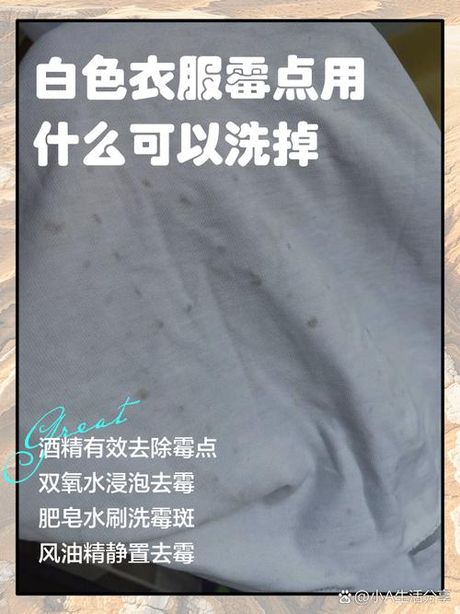 白衣服发霉怎么洗掉霉斑