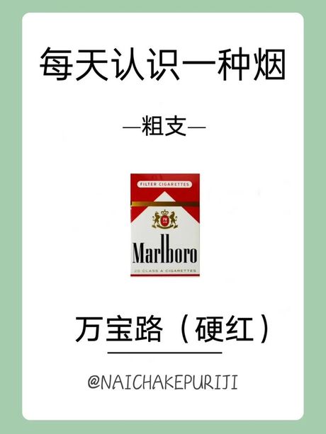 万宝路：购买地点与渠道