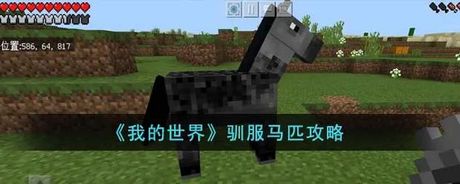 《我的世界》马匹驯服指南