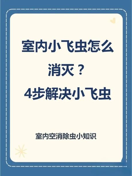 消灭屋内小飞虫的实用指南