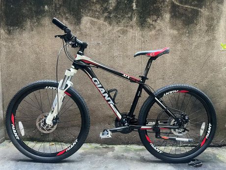 捷安特770自行车：价格与特点