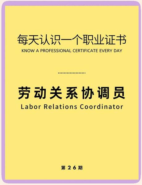 劳动关系协调员：构建和谐劳动关系的桥梁