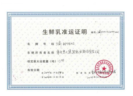 嘉宾致辞：如何在不同场合表达敬意与祝福