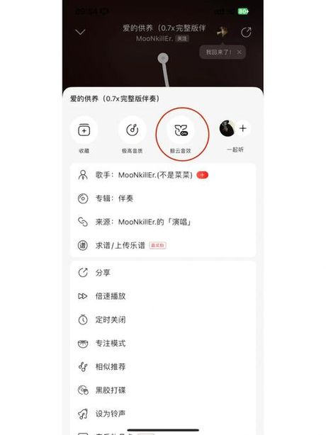 电脑网易云怎么调音效