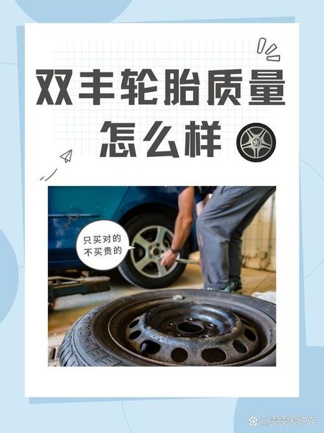 双丰轮胎：性能与质量的探索