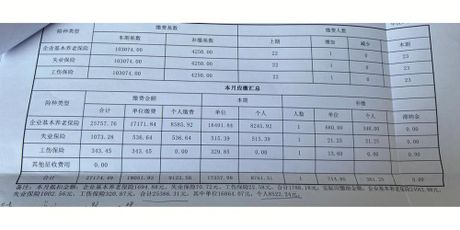 社保费会计分录解析