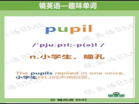 pupils怎么读音，pupils的准确发音解析