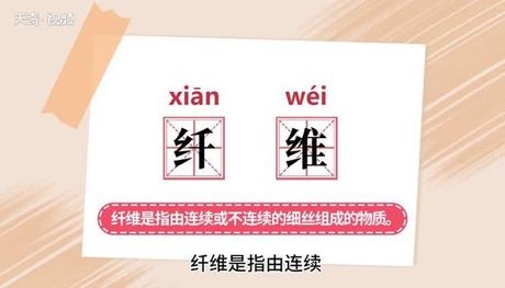 纤维怎么读，纤维的读音与意义