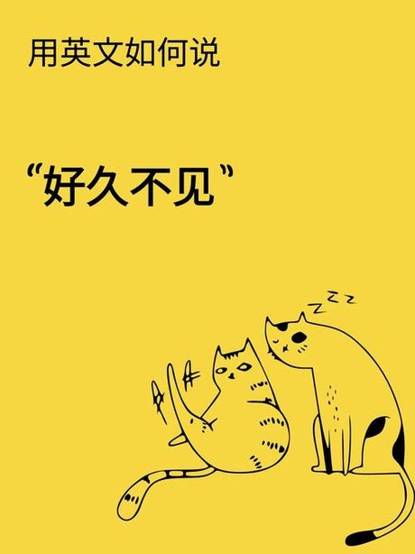 好久不见，外国人怎么说？