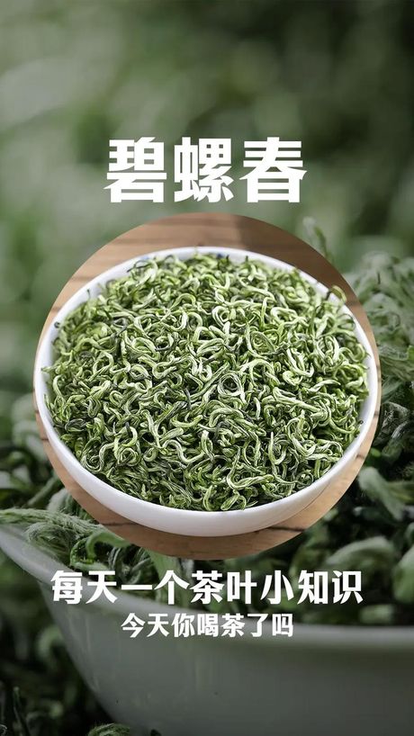 碧螺春产地是哪里，碧螺春的产地是哪里？
