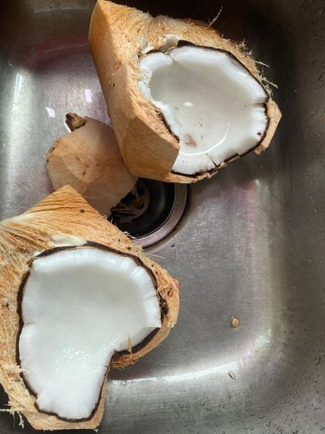 老椰子肉的美味吃法