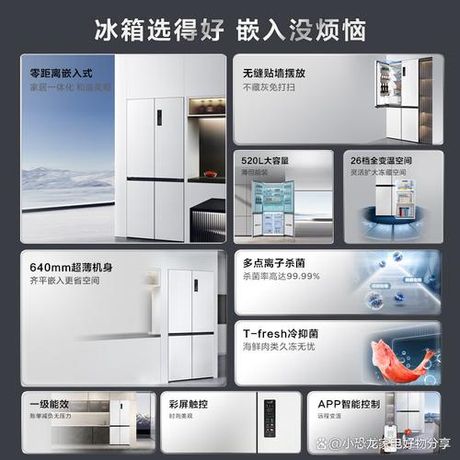 TCL冰箱：质量与性能的综合考量