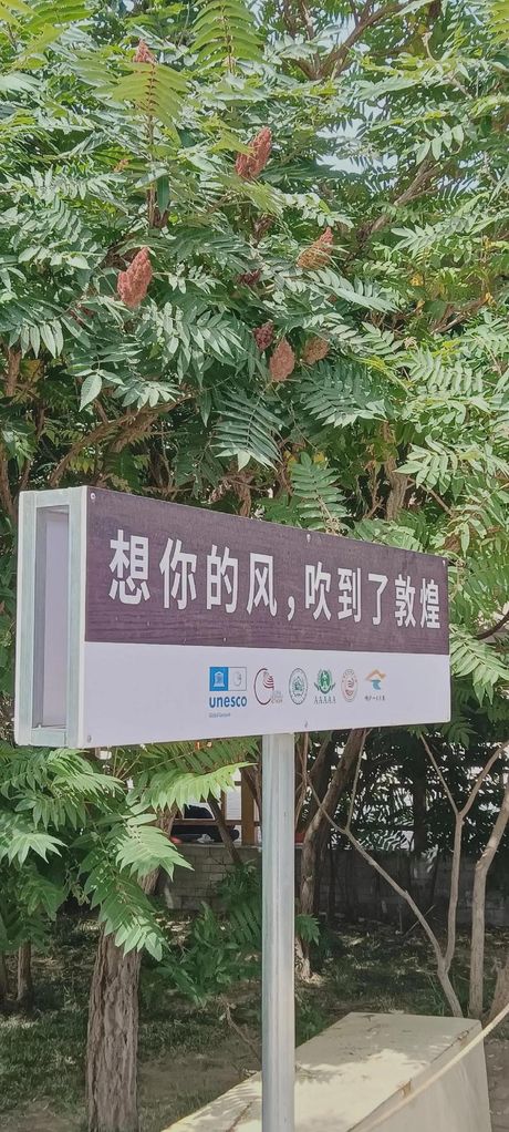 兔子不吃窝边草什么意思，兔子不吃窝边草