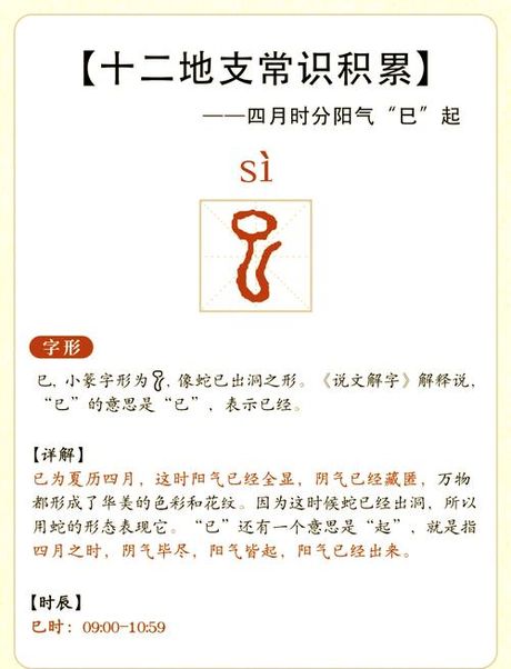 巳怎么读音是什么，巳字的读音与意义解析