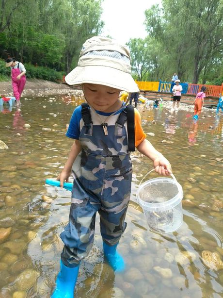 抓泥鳅：一项有趣的水下活动