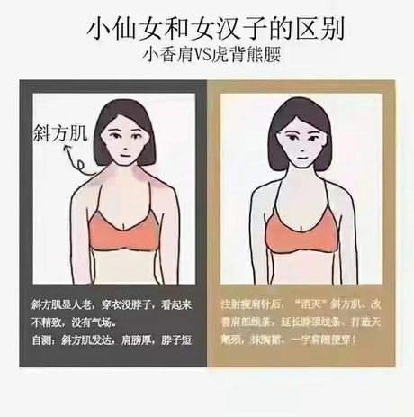 溜肩为什么叫美人肩