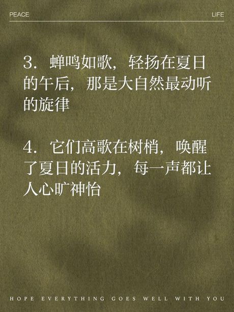 蝉的寿命：地下岁月与夏日高歌