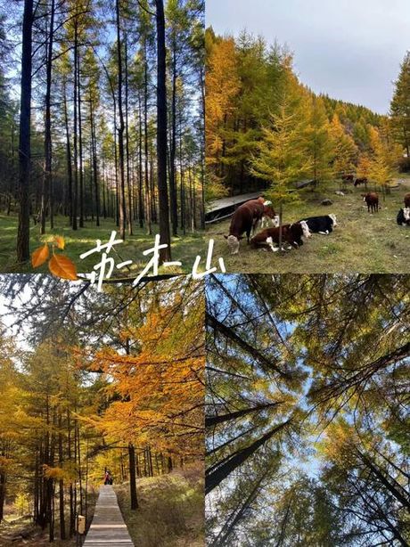 苏木山：自然的奇迹与历史的见证