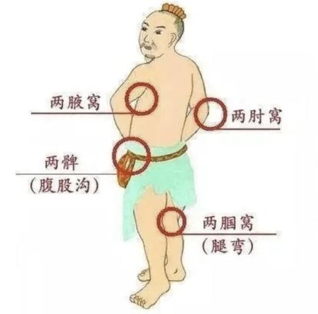 什么是腘