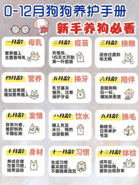 如何喂养小奶狗：全面指南