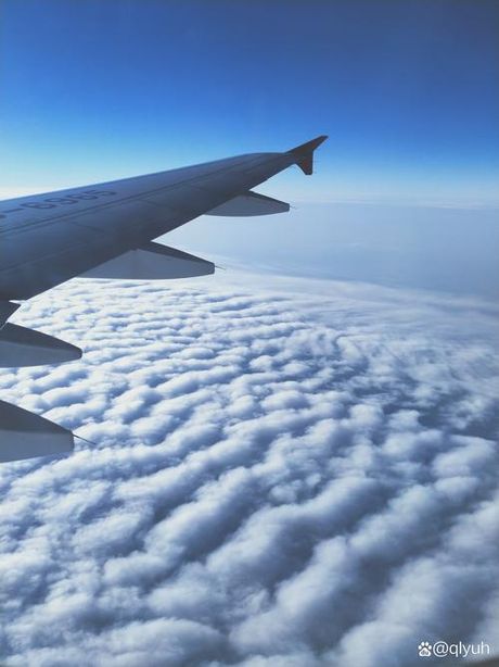 飞机的时速：穿越云端的快速旅行