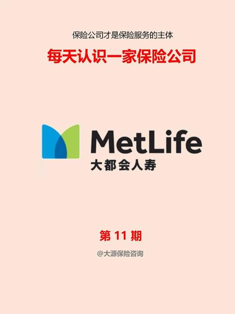 大都会保险：保障与服务的双重承诺