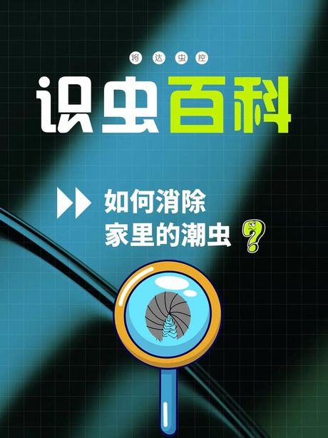 家里有潮虫怎么除掉呢？