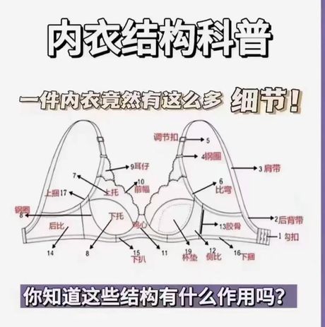 胸罩解法揭秘