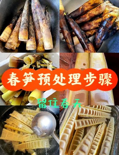 新鲜竹笋怎么处理，新鲜竹笋处理方法大全