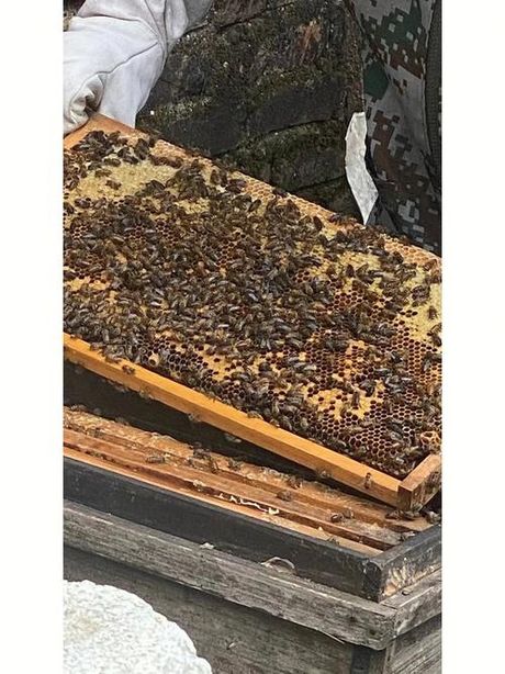 蜂蜜的保质期：大自然的甜蜜永存