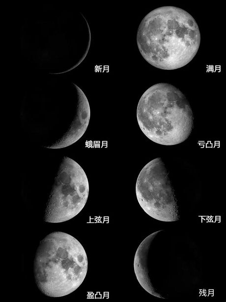 月亮为什么有时圆有时缺