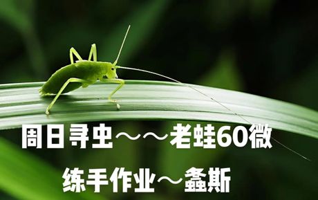蠡怎么读：一个汉字的发音奥秘