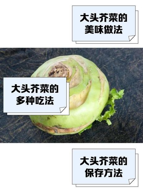 菜头的多样做法
