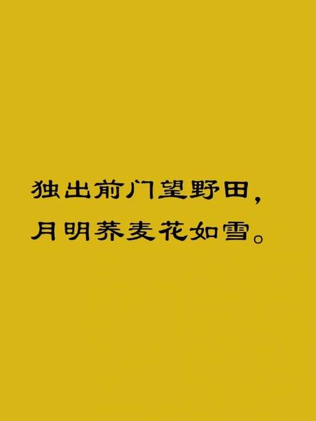 《村夜》中的自然美：独出前门望野田 月明荞麦花如雪